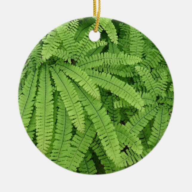 Five Finger Maidenhair Fern Ceramic Tree Decoration (Front)