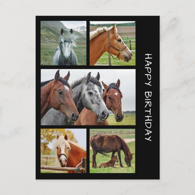 Five horse photo collage birthday postcard (Front)