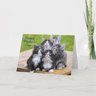Five Kitties Mother's Day Card