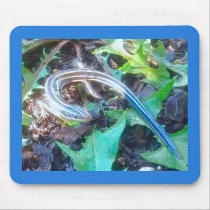 Five-Lined Skink on Dandelion Leaves Horizontal Mouse Mat
