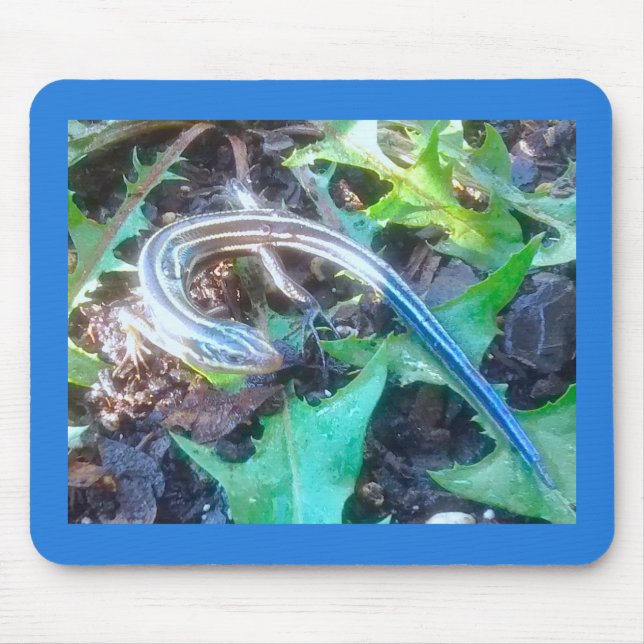 Five-Lined Skink on Dandelion Leaves Horizontal Mouse Mat (Front)