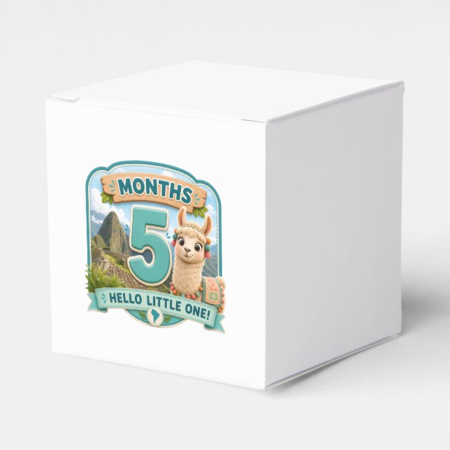 Five Months of Little Adventures Milestone Favour Box (Front Side)