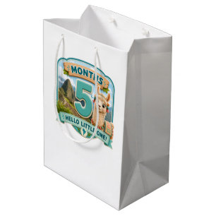 Five Months of Little Adventures Milstone Medium Gift Bag
