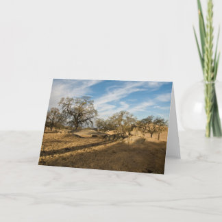 Five Oaks and Long Shadows Card