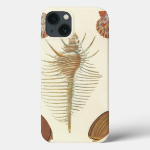 Five of a Kind Seashells iPhone 13 Case