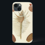 Five of a Kind Seashells iPhone 13 Case<br><div class="desc">George Wolfgang Knorr is known for the delicate detail and precision of his illustrations of seashells and conches. His drawings were influenced by his own interest in science, a popular subject matter of his era. This unique piece of art by Knorr really does a great job capturing the different kinds...</div>