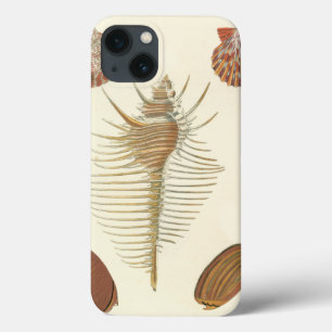 Five of a Kind Seashells iPhone 13 Case