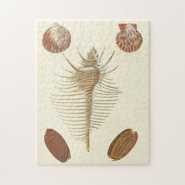Five of a Kind Seashells Jigsaw Puzzle (Vertical)