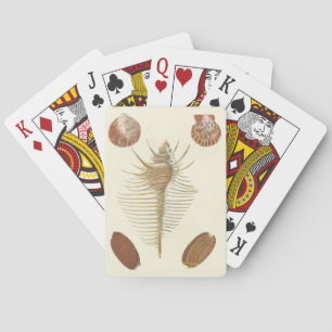 Five of a Kind Seashells Playing Cards