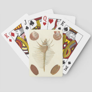 Five of a Kind Seashells Playing Cards