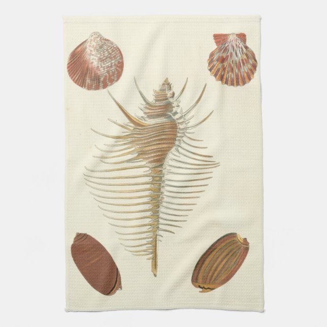 Five of a Kind Seashells Tea Towel (Vertical)