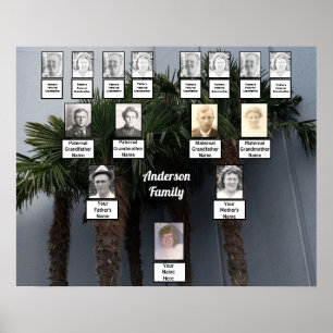 Five Palm Trees Photo Family Tree Poster