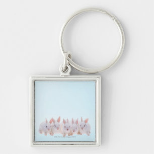Five Rabbits Key Ring
