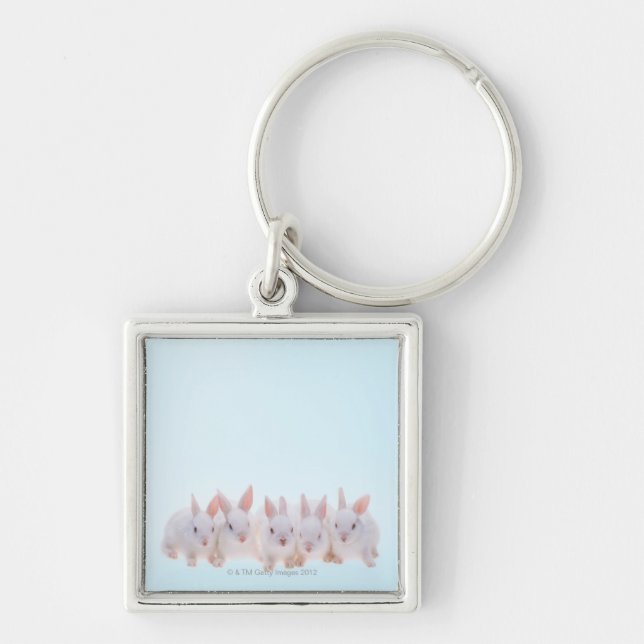 Five Rabbits Key Ring (Front)