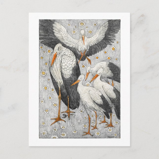 Five Storks in a Meadow - Theo van Hoytema Postcard (Front)