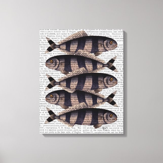 Five Striped Fish Canvas Print (Front)