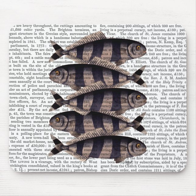 Five Striped Fish Mouse Mat (Front)