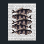Five Striped Fish Postcard<br><div class="desc">Coastal & Tropical</div>