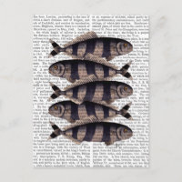 Five Striped Fish