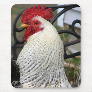 Five Toes Rooster Photo Mouse Mat