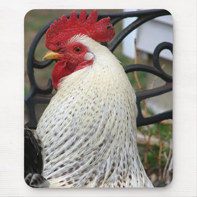 Five Toes Rooster Photo Mouse Mat (Front)