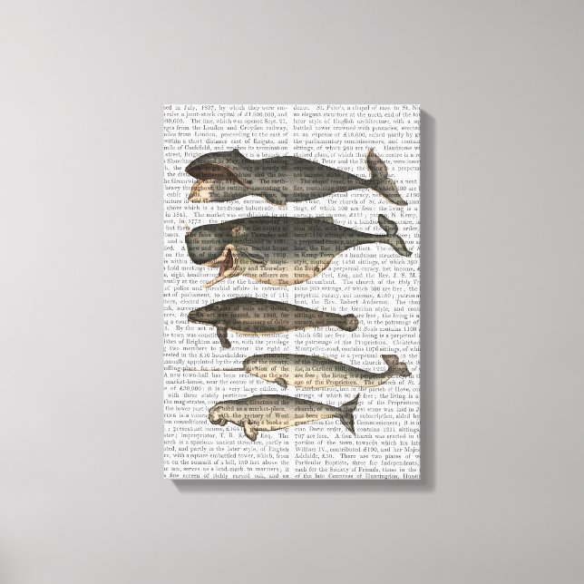 Five Vintage Whales Canvas Print (Front)