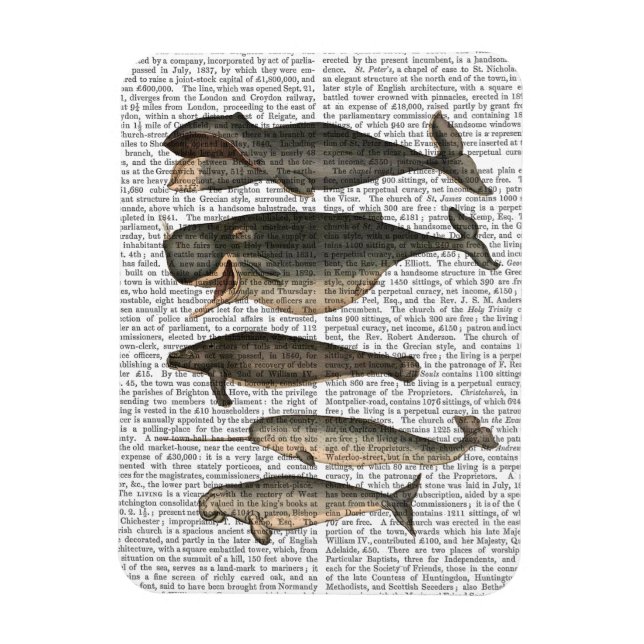Five Vintage Whales Magnet (Vertical)