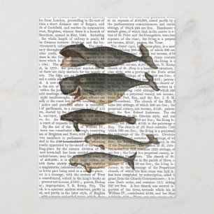 Five Vintage Whales Postcard