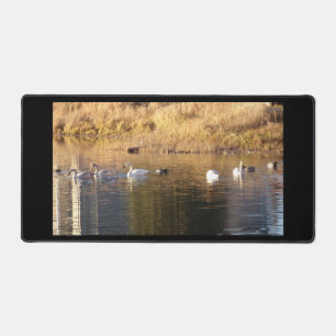 Five White Swans n Ducks Desk Mat
