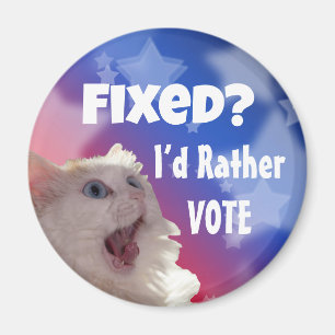 Fixed? I’d Rather Vote Magnet