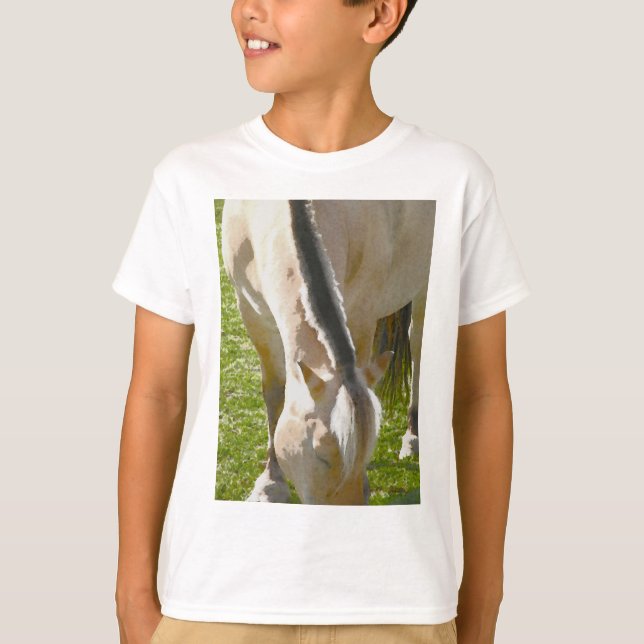Fjord T-Shirt (Front)