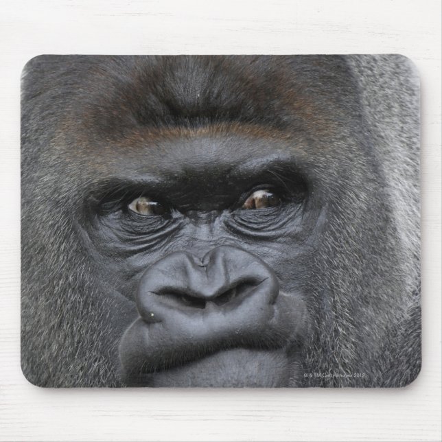 Flachland Gorilla Mouse Mat (Front)
