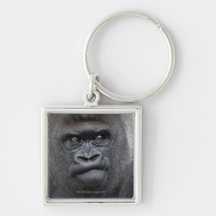 Flachlandgorilla, Gorilla gorilla, Key Ring
