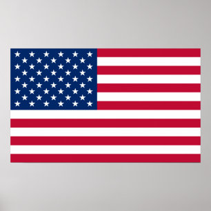Flag America American country travel Poster