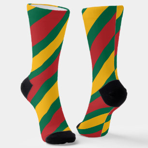 Flag and coat of arms of Lithuania Socks