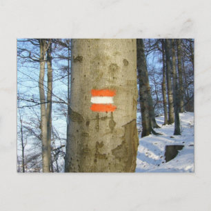 flag austria winter postcard