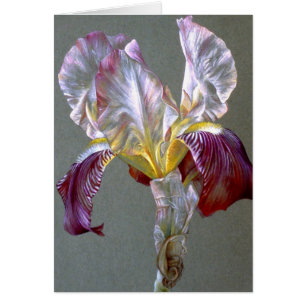 Flag Iris botanical flower fine art blank card