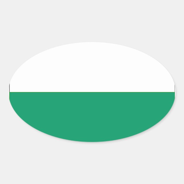 Flag of Aalten, Netherlands Oval Sticker (Front)