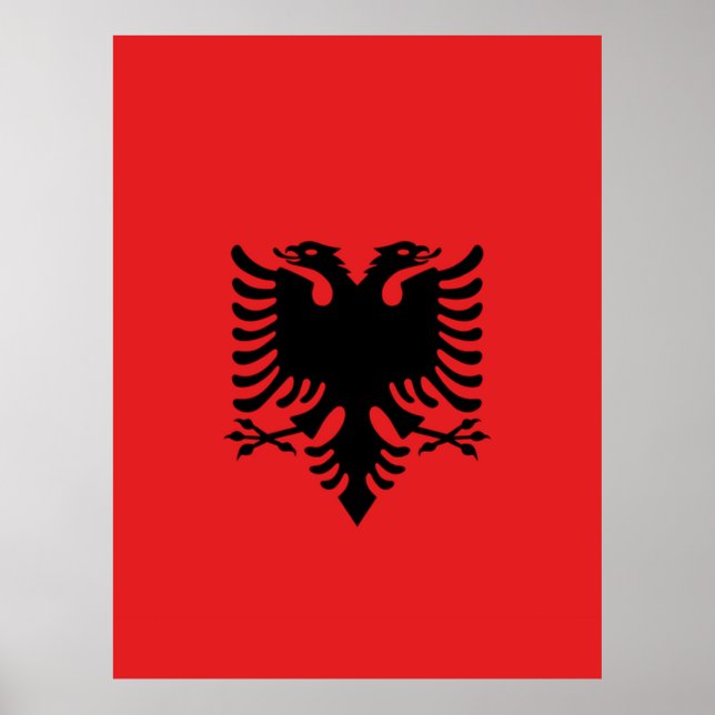 Flag of Albania Poster (Front)