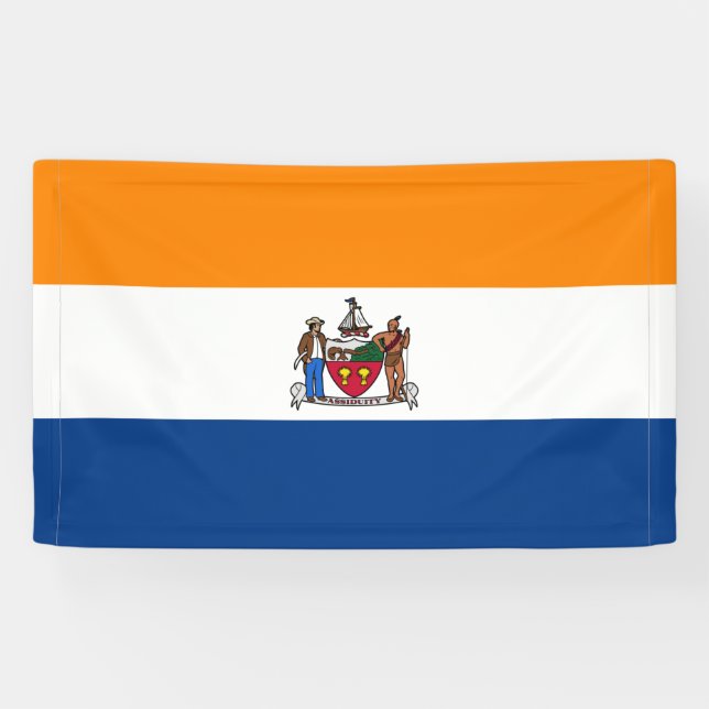 Flag of Albany (New York) Banner (Horizontal)