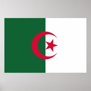 Flag of Algeria Poster