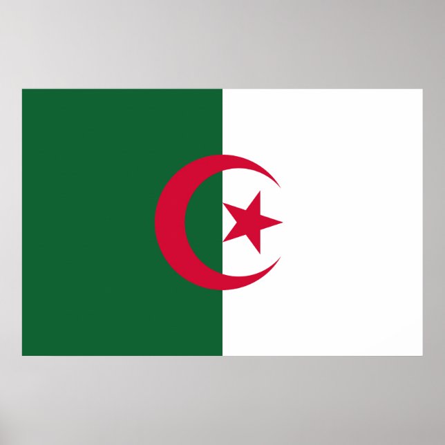 Flag of Algeria Poster (Front)