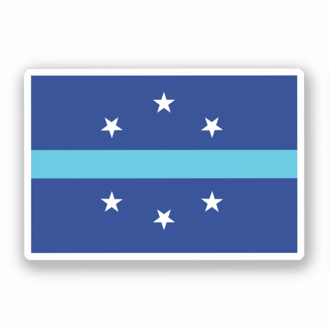Flag of Anaheim, California (Front)