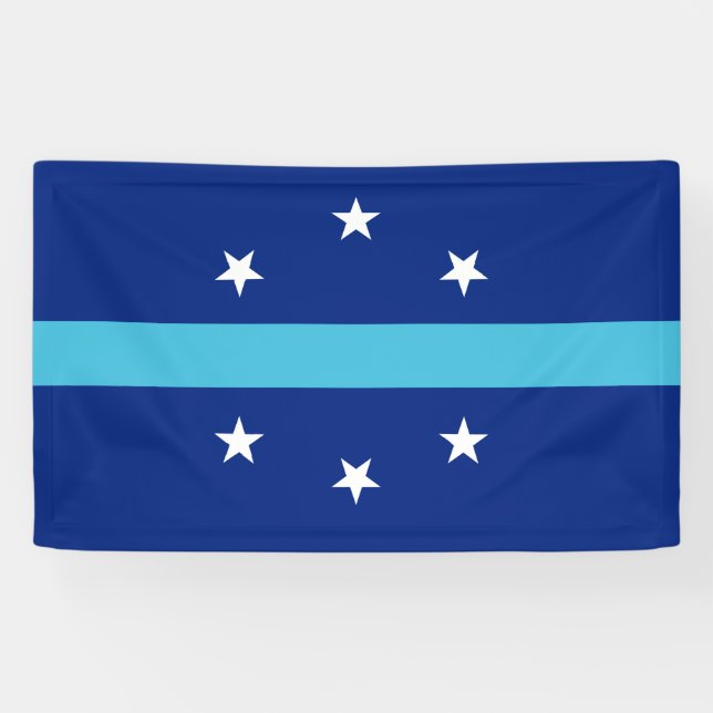 Flag of Anaheim (California, USA) Banner (Horizontal)