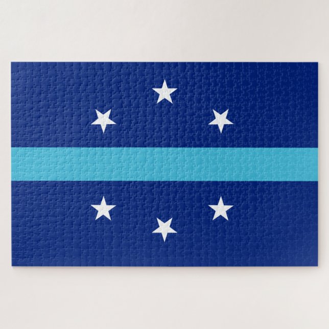 Flag of Anaheim (California, USA) Jigsaw Puzzle (Horizontal)