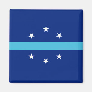 Flag of Anaheim (California, USA) Magnet