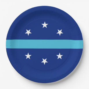 Flag of Anaheim (California, USA) Paper Plate