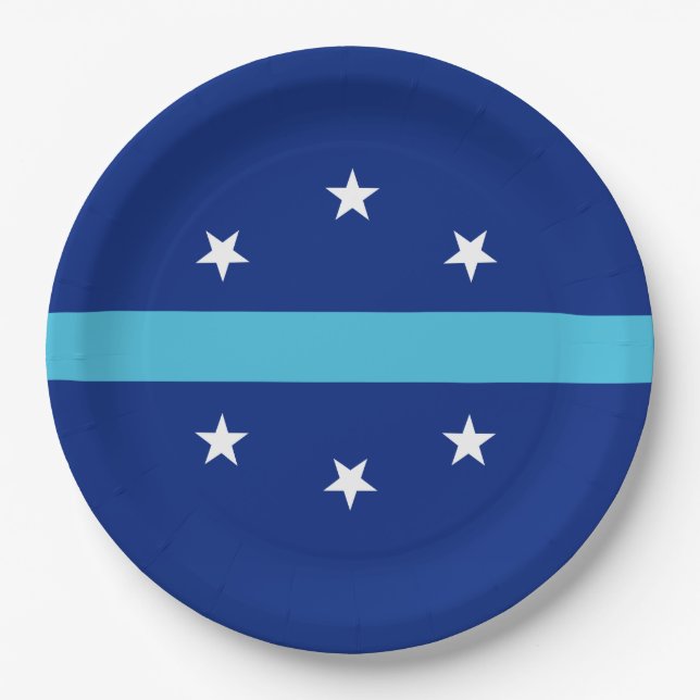 Flag of Anaheim (California, USA) Paper Plate (Front)