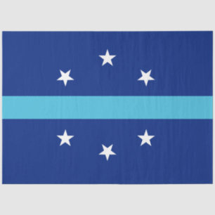 Flag of Anaheim (California, USA) Tissue Paper