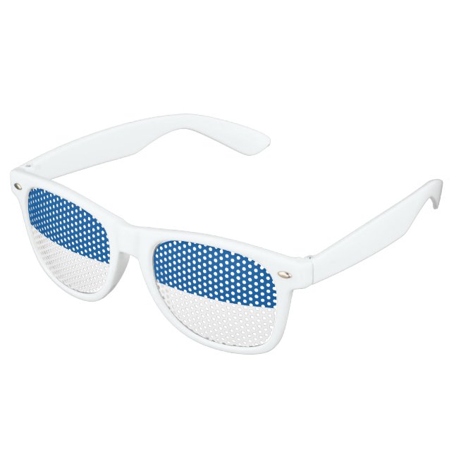 Flag of Assen Retro Sunglasses (Angled)